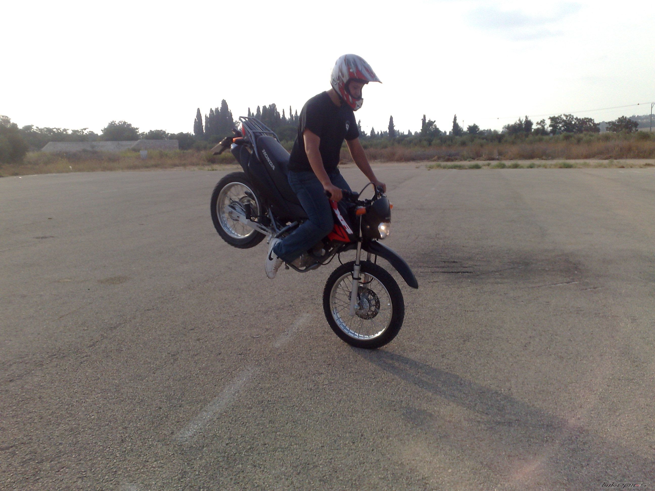 Photo 1432973