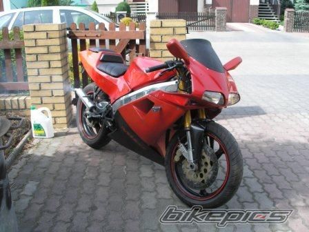 Photo 1433537