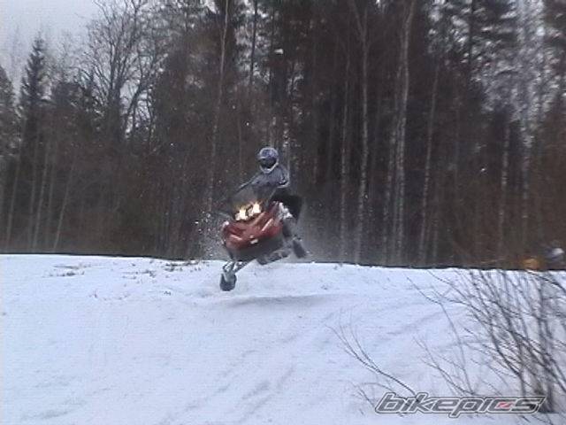Photo 143398