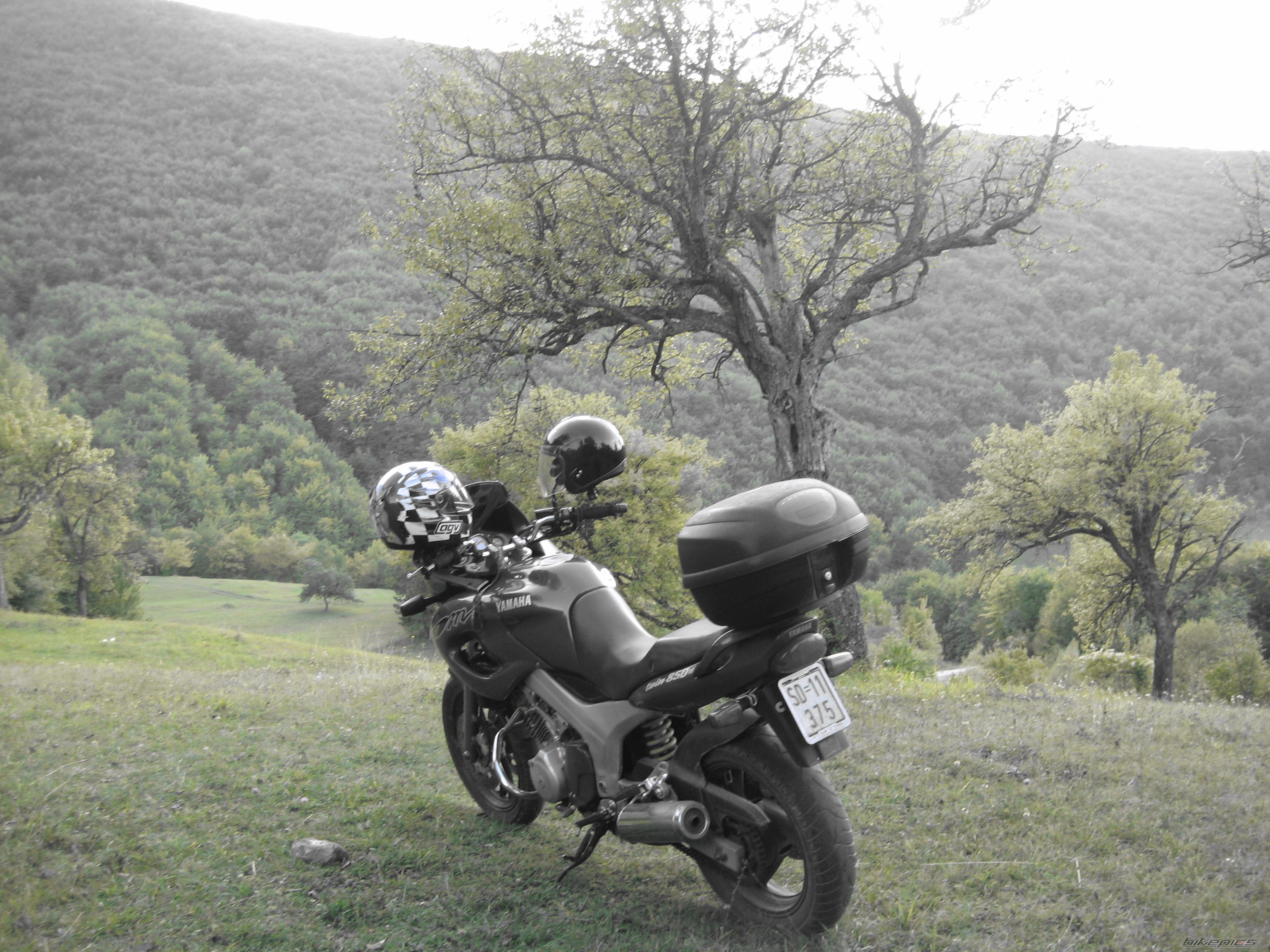 Bike Photo 1434447
