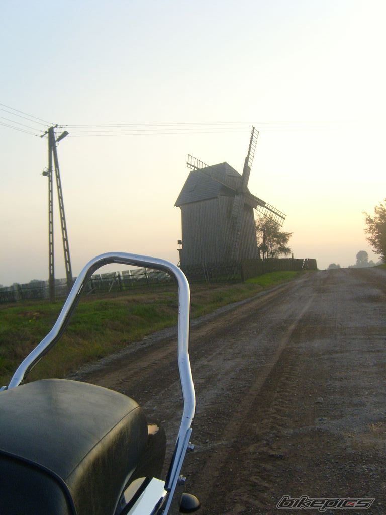 Photo 1435332