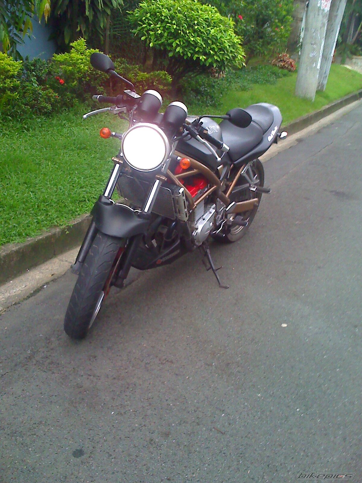 Bike Photo 1438889