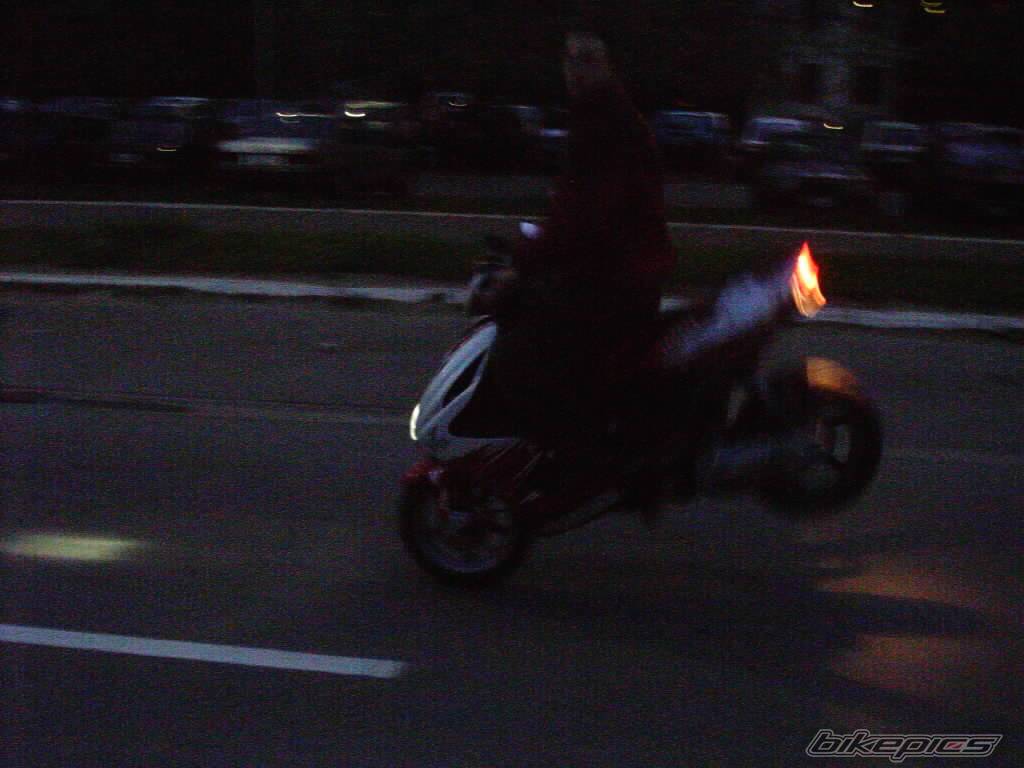 Photo 144405