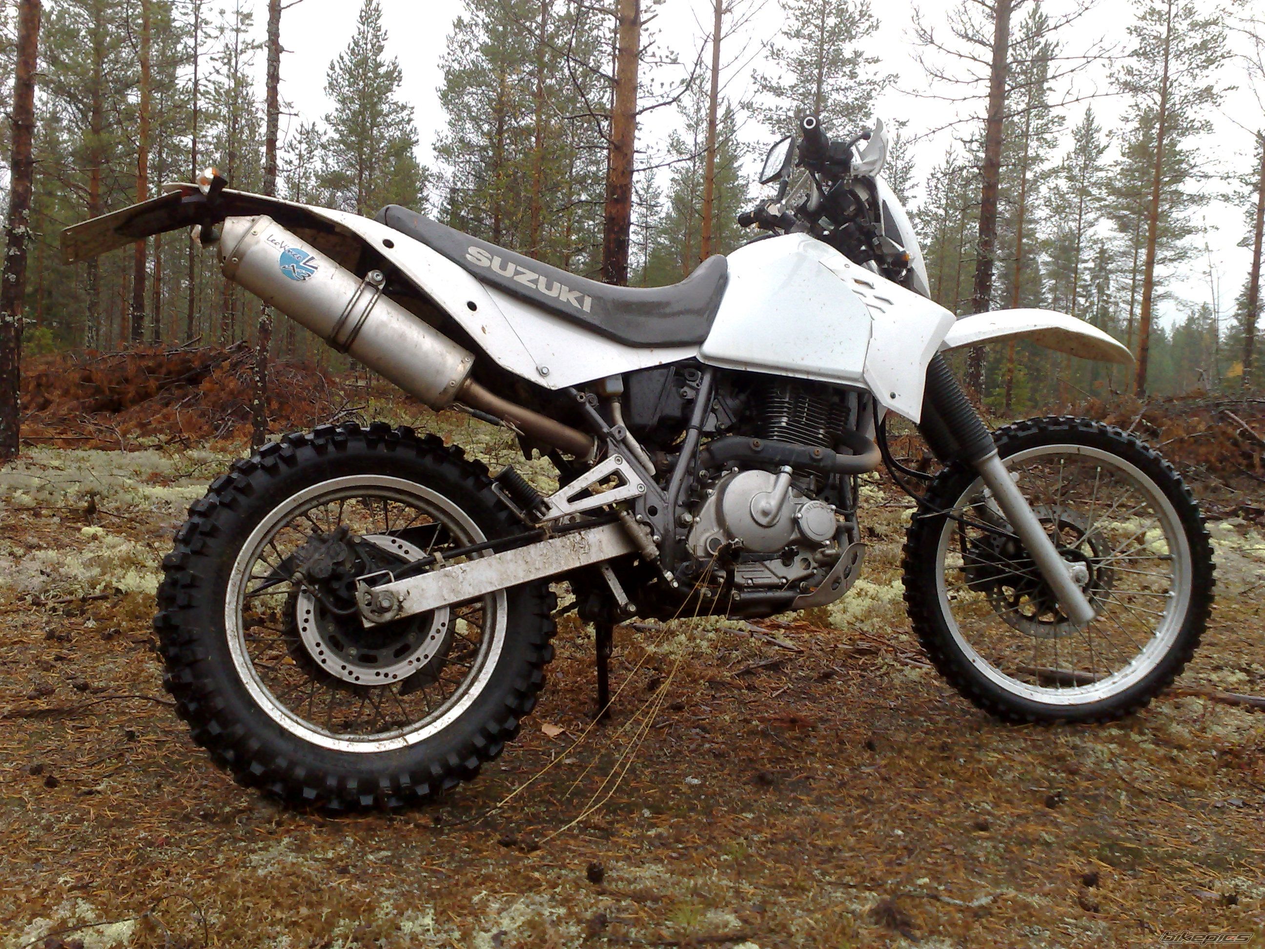 Photo 1445124