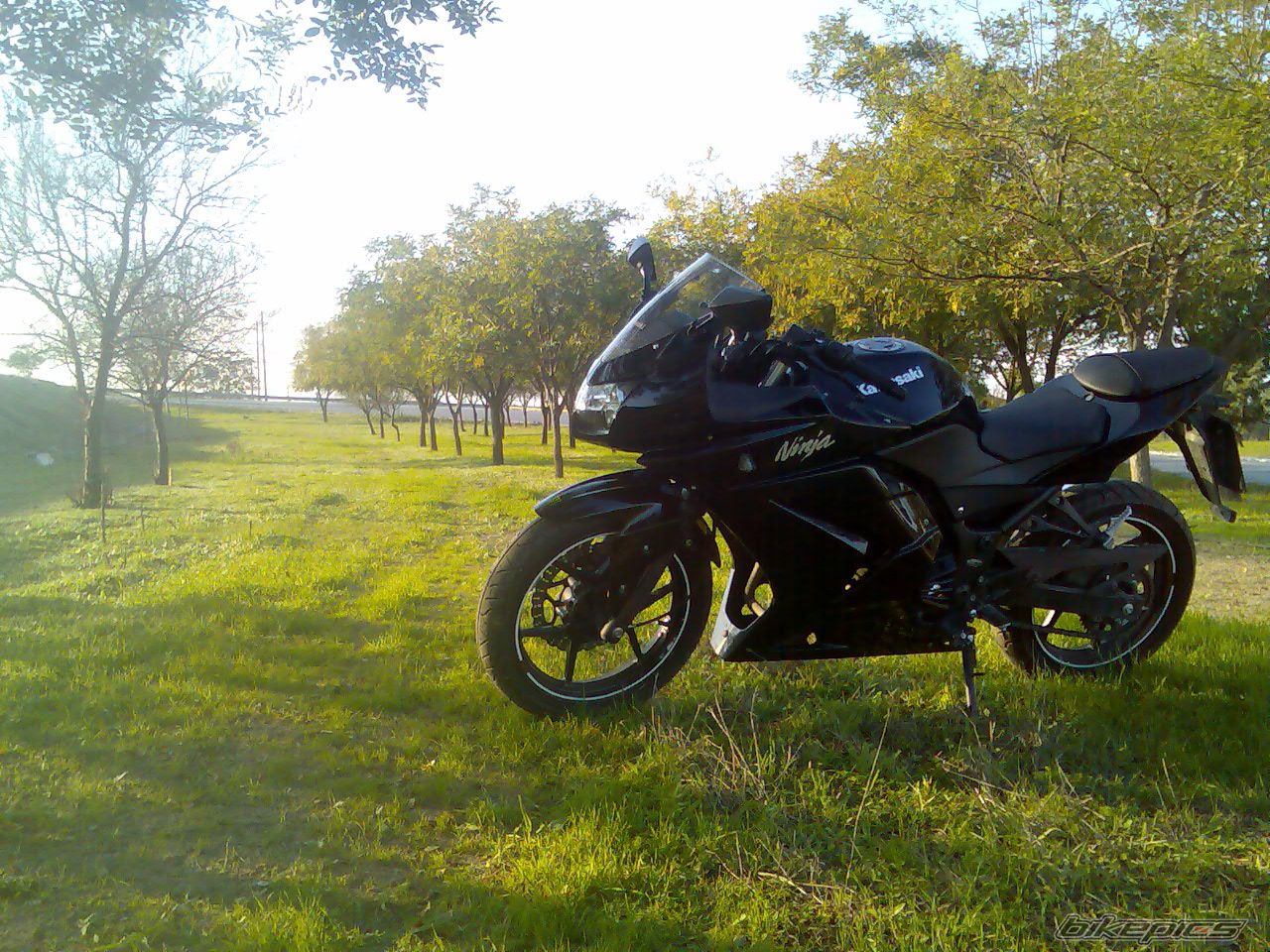 Bike Photo 1445450