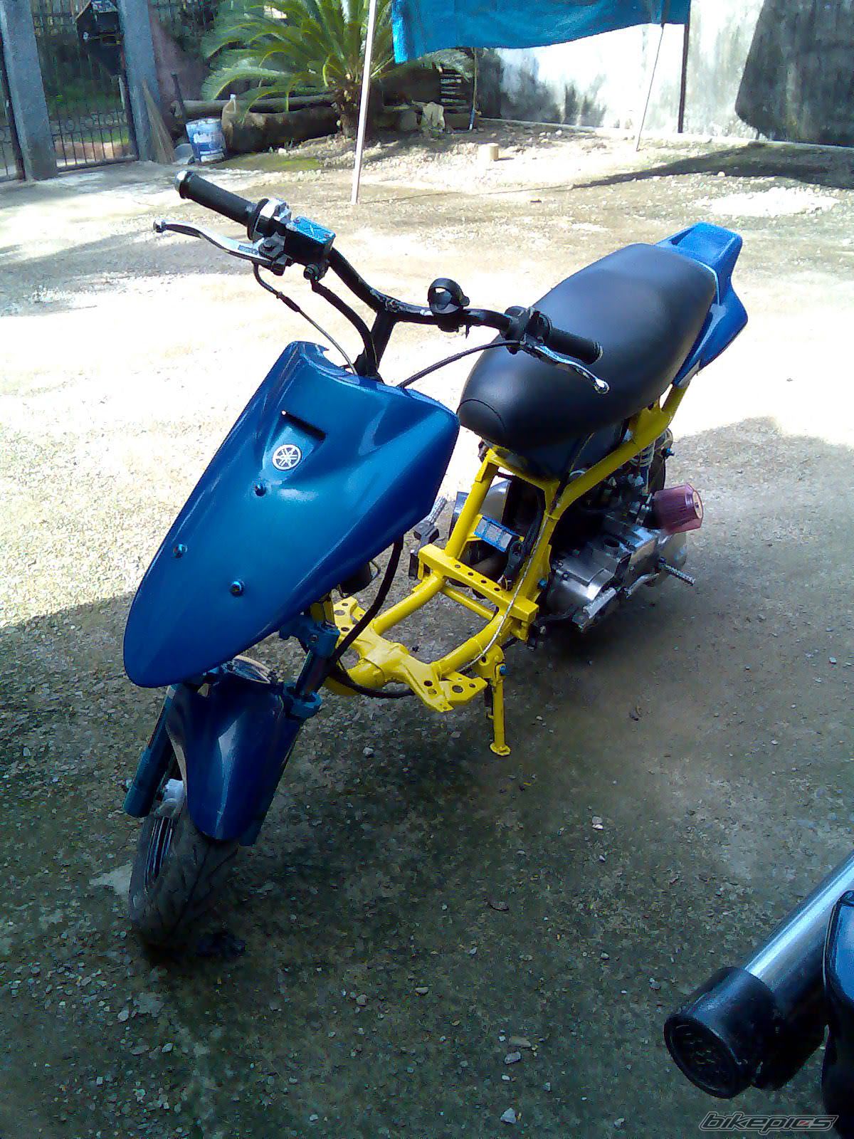 Photo 1446072