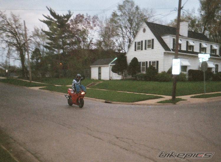 Photo 144761
