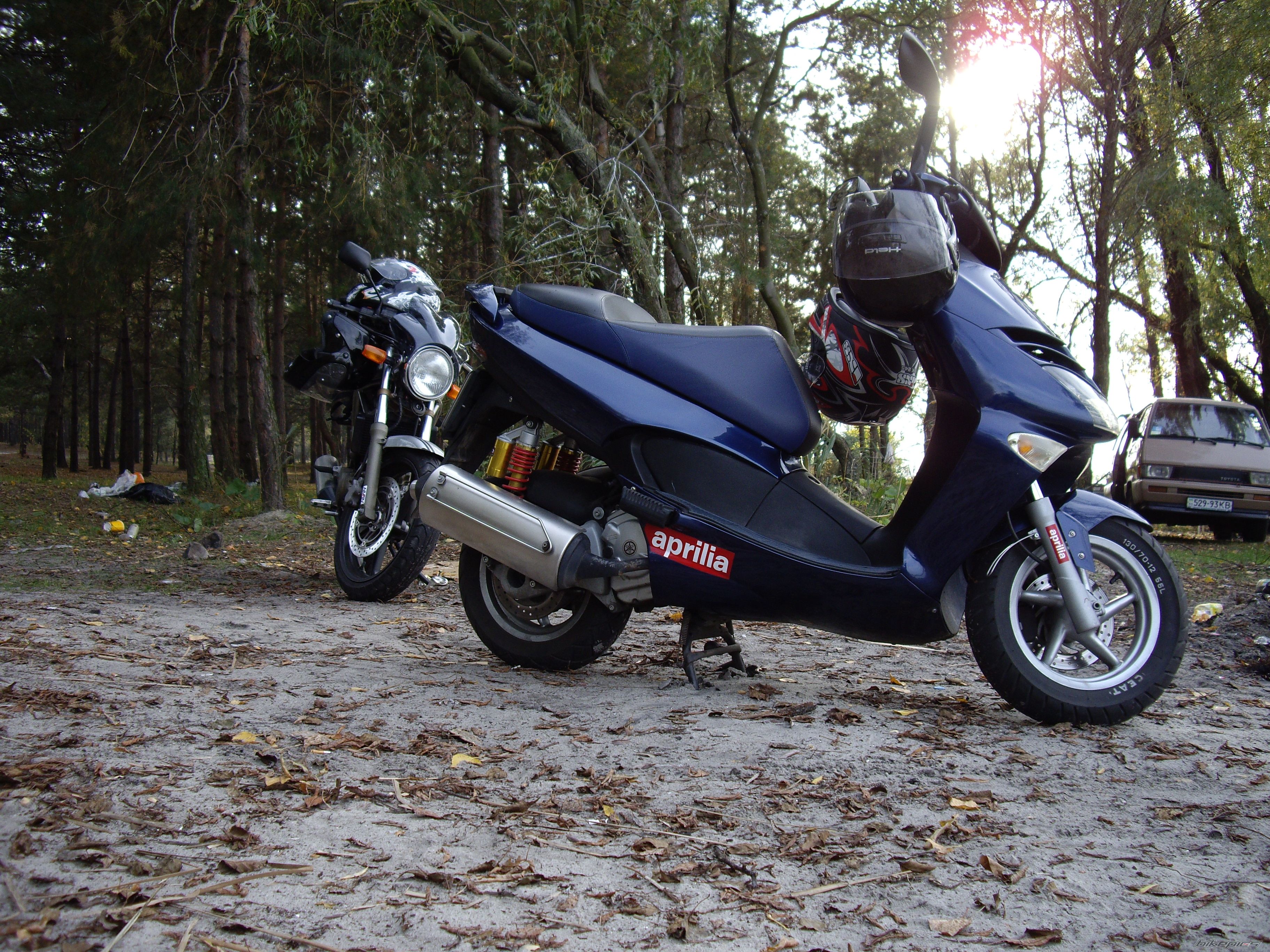 Photo 1447873