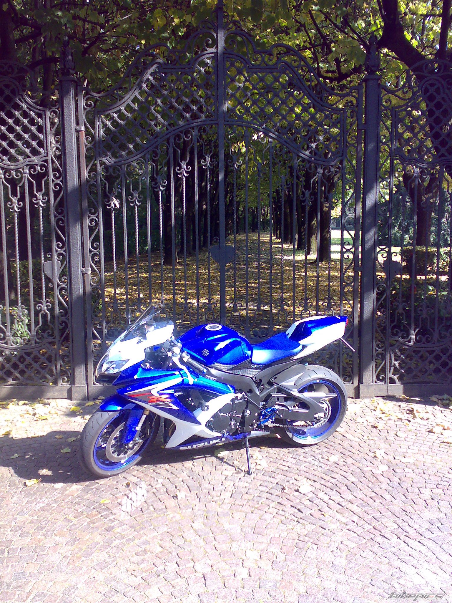 Photo 1448004
