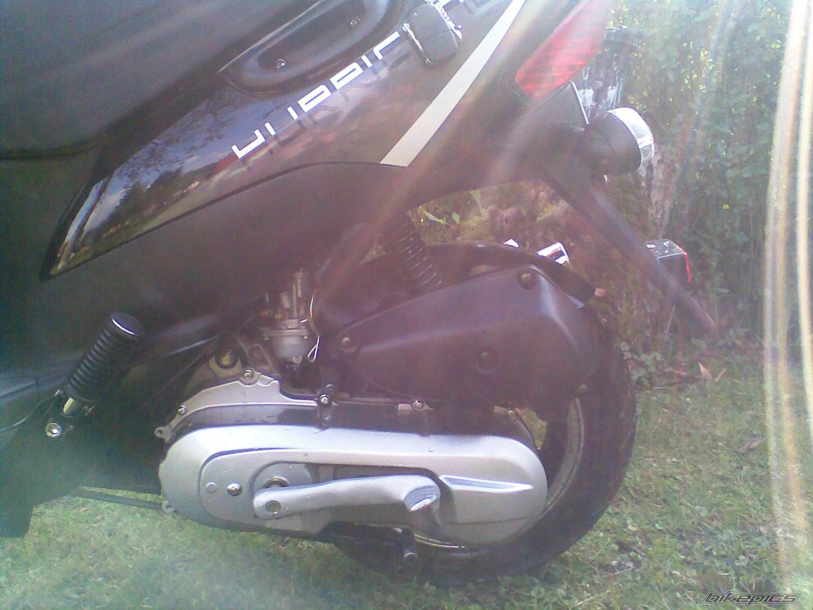 Photo 1448158