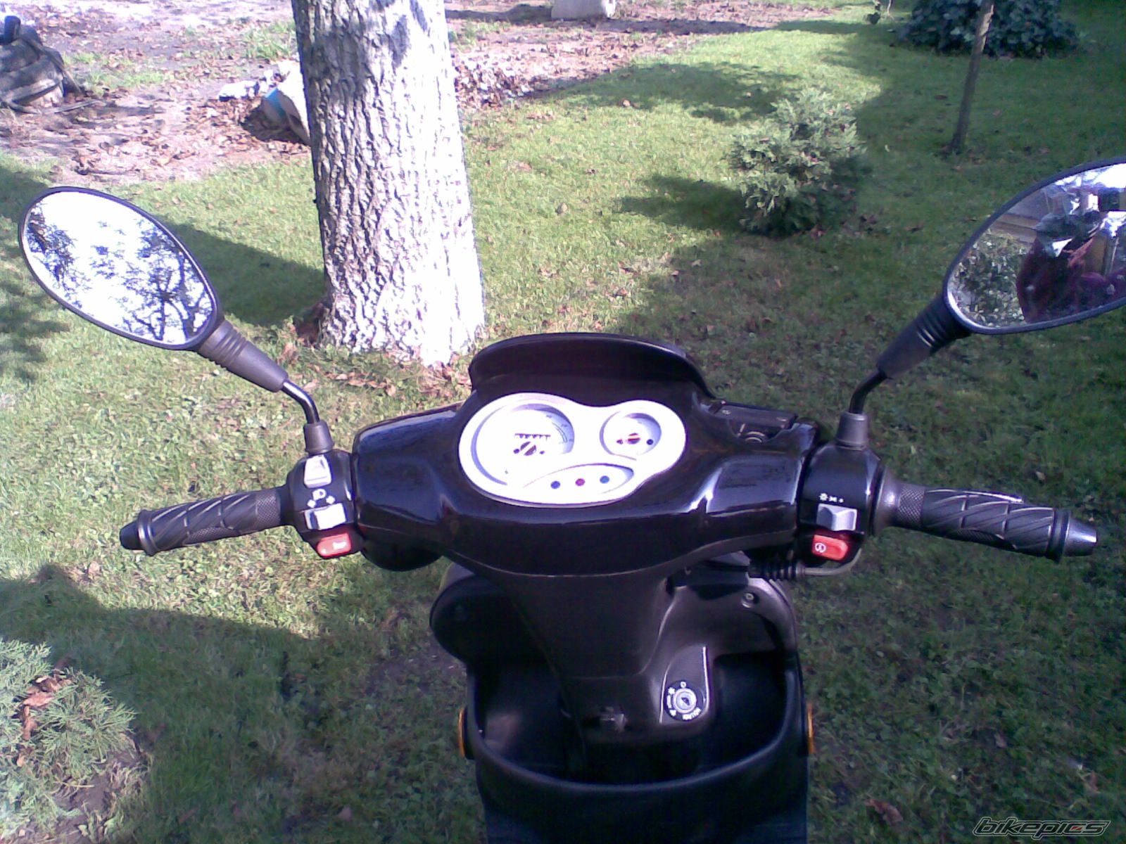 Photo 1448162