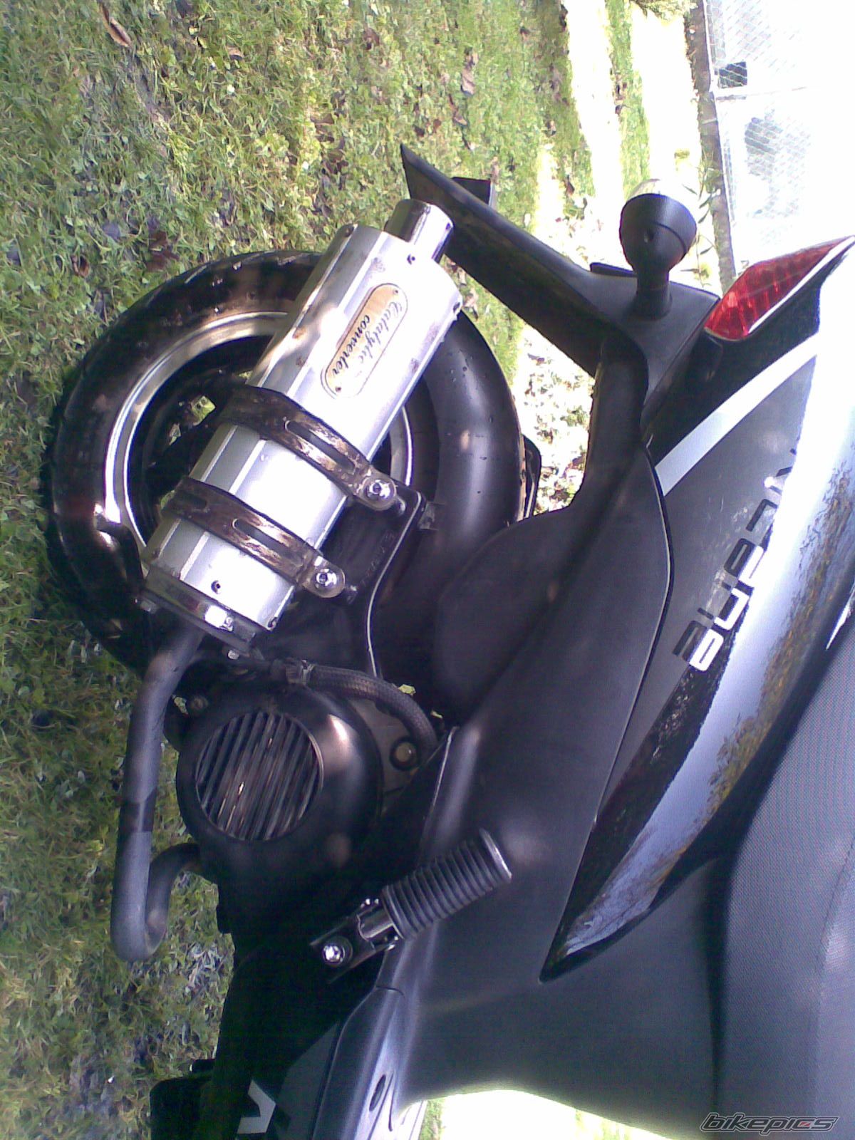 Photo 1448167