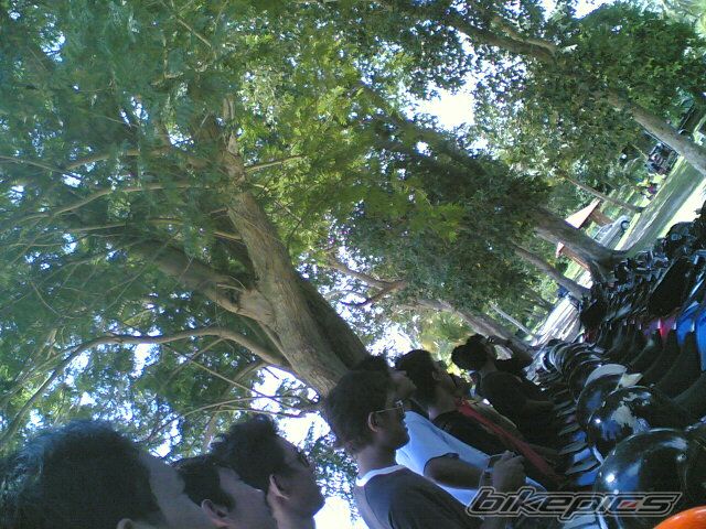 Photo 1449307