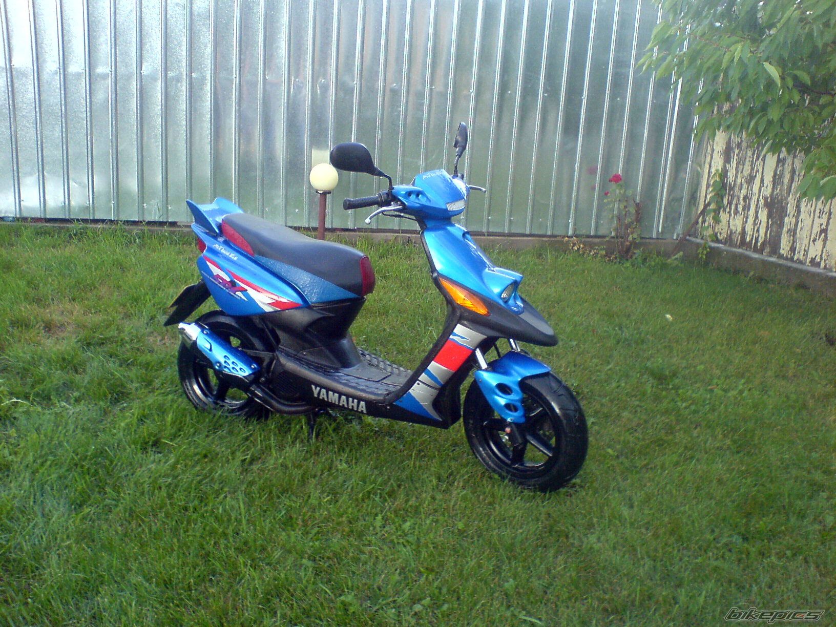 Photo 1450084