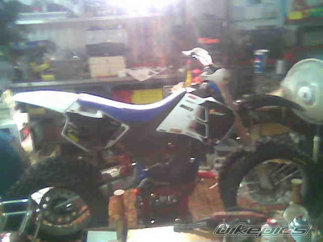 Photo 1452840