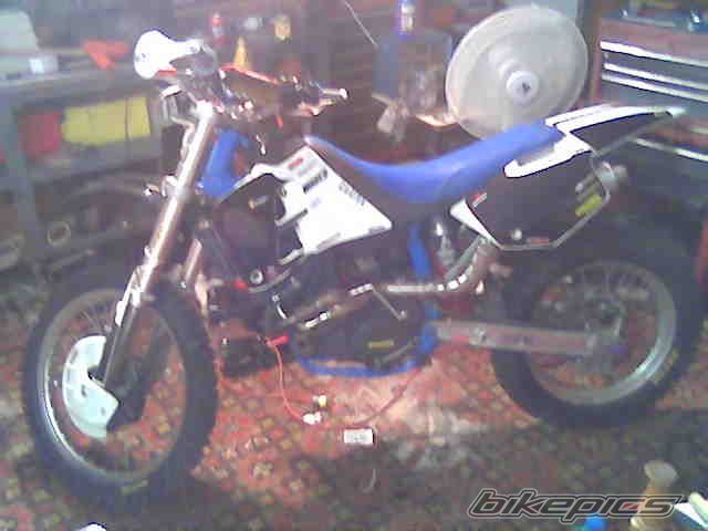 Photo 1452845