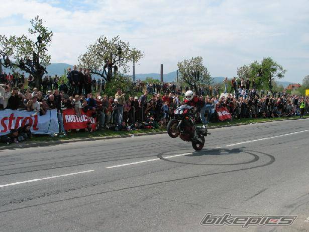 Photo 145372