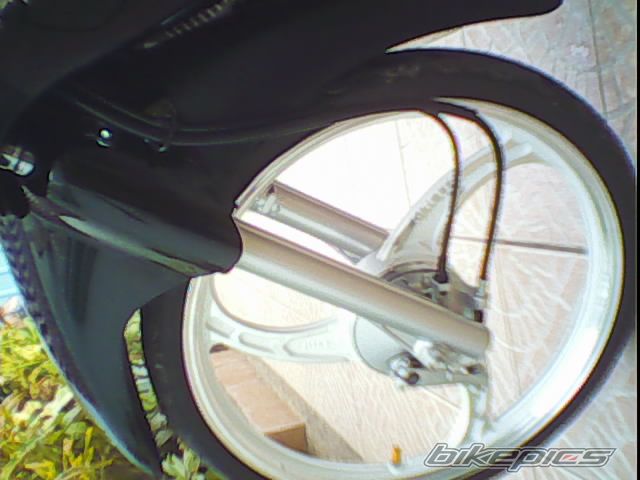 Photo 1454415