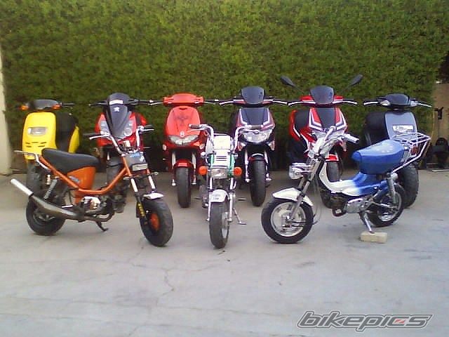 Photo 1454464