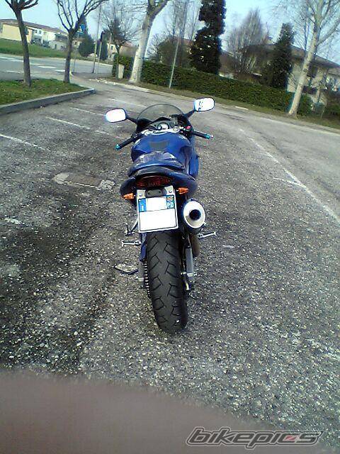 Photo 145499