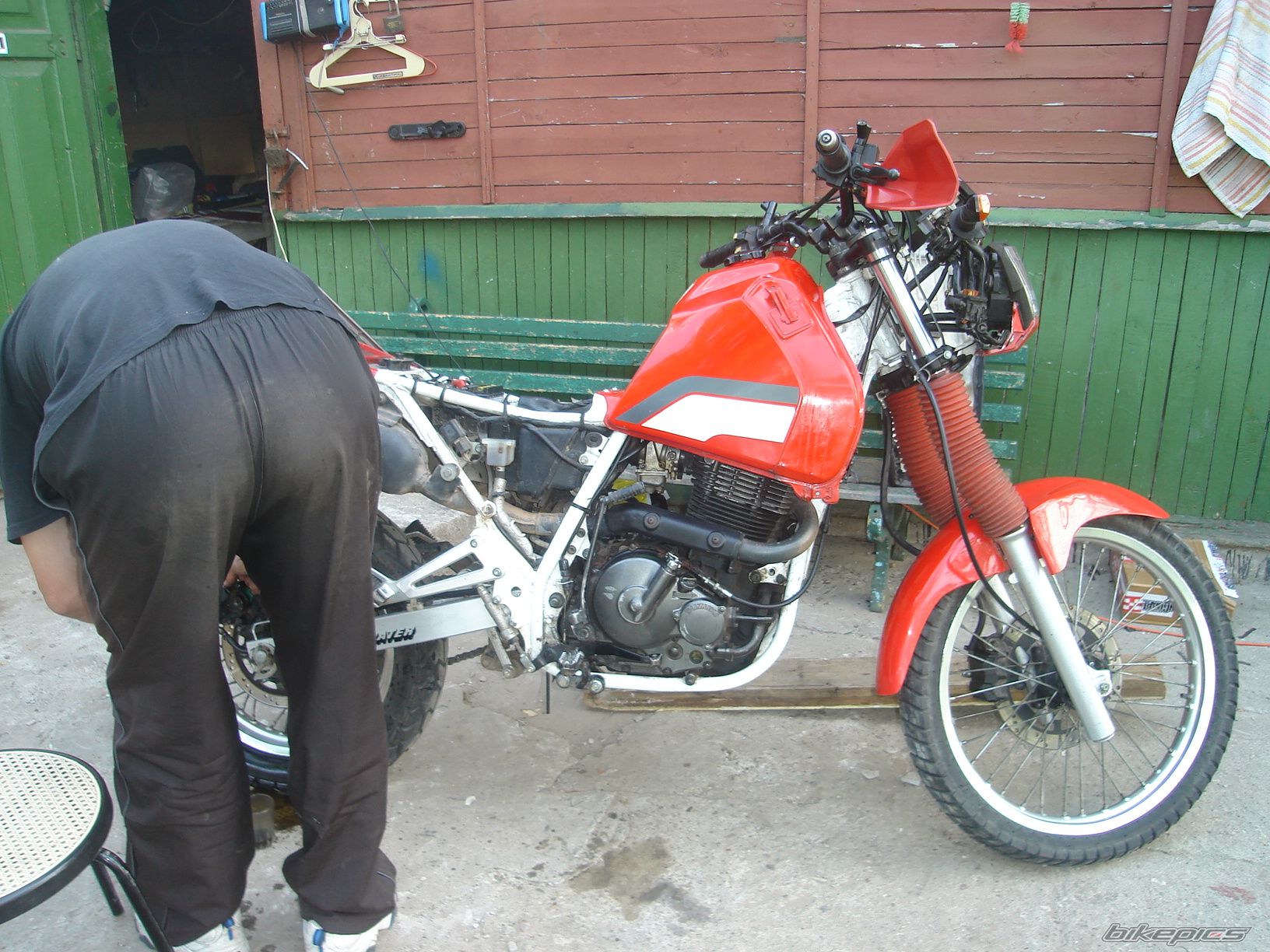 Photo 1455489