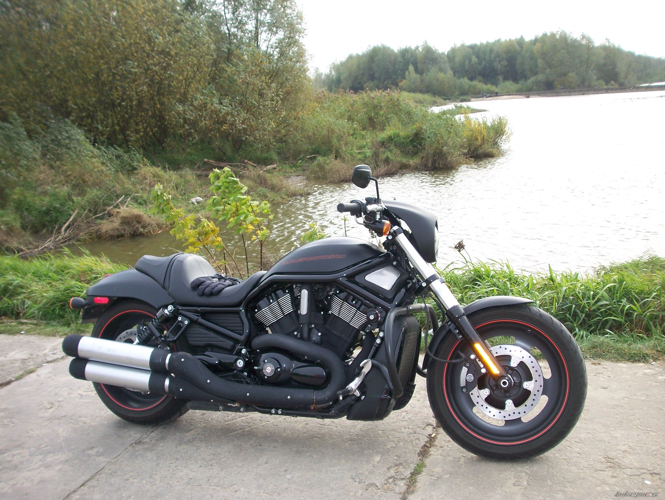 Photo 1456250