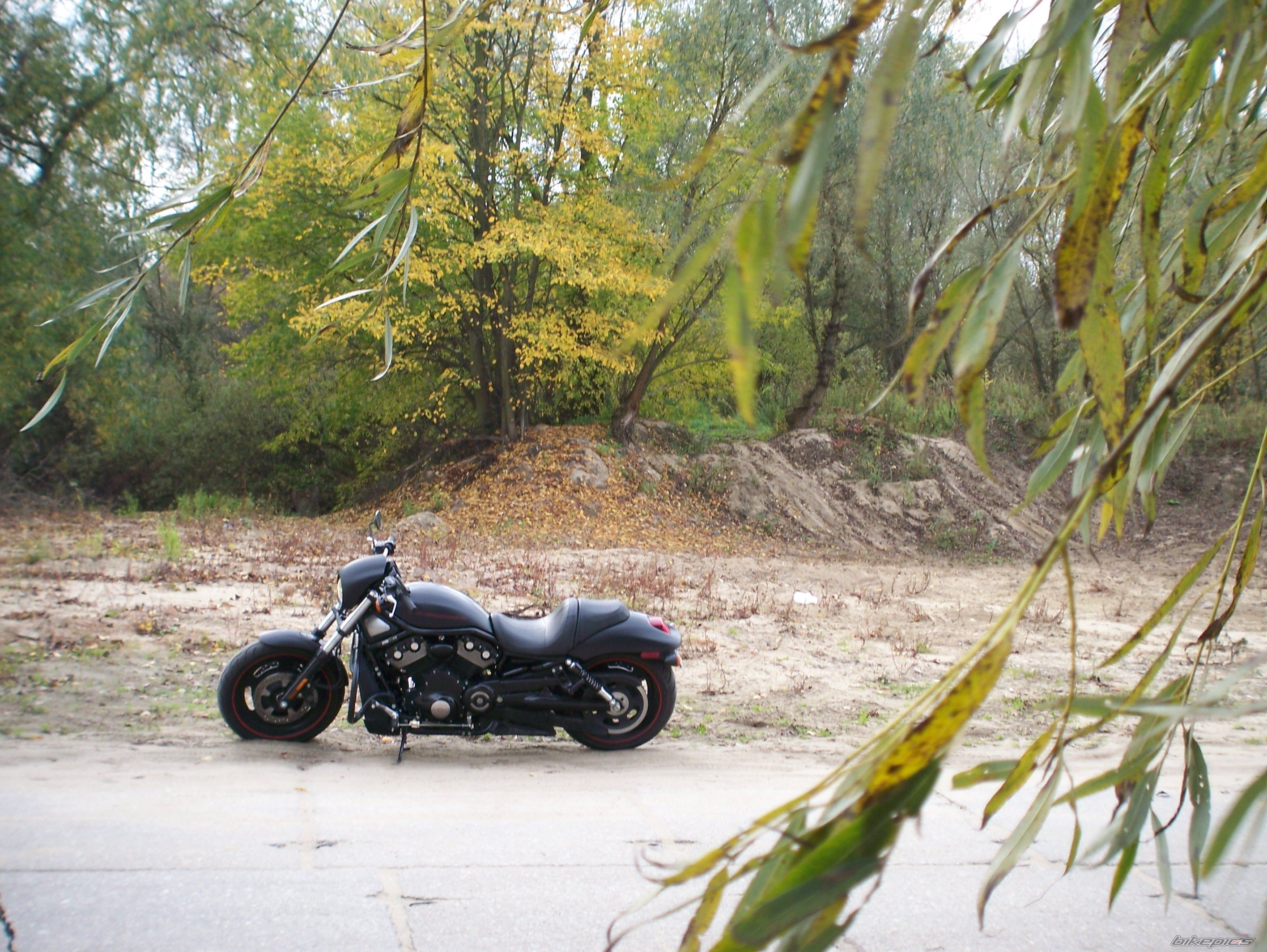 Photo 1456261