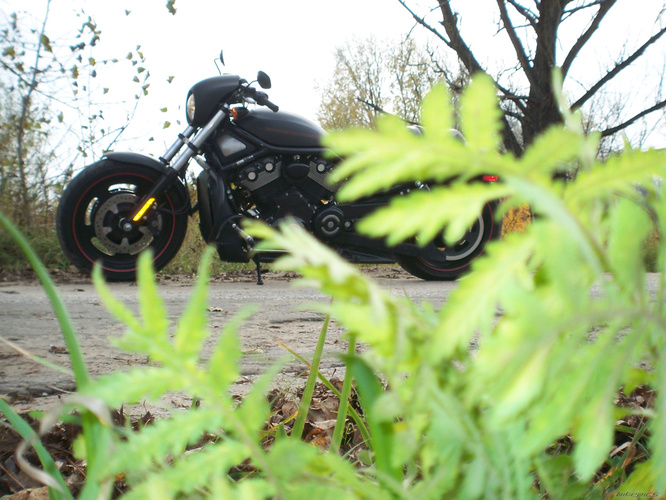 Photo 1456266