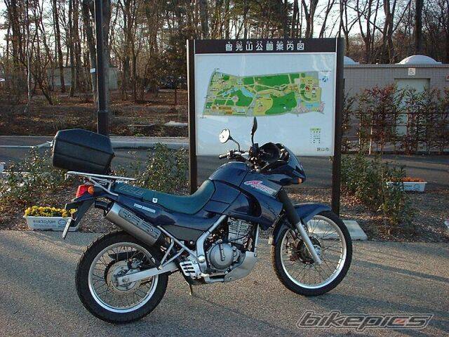 Photo 145890