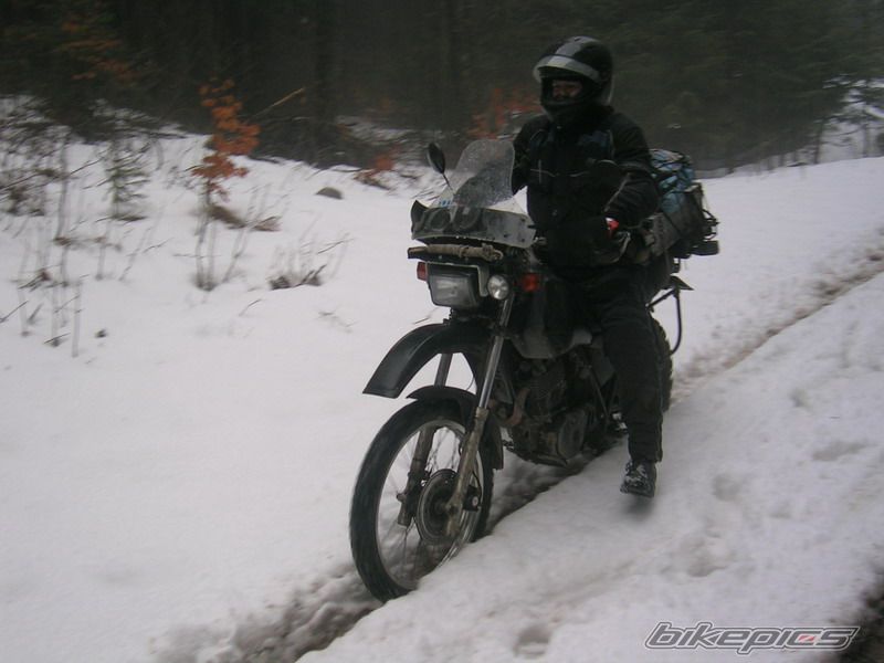 Bike Photo 1459658