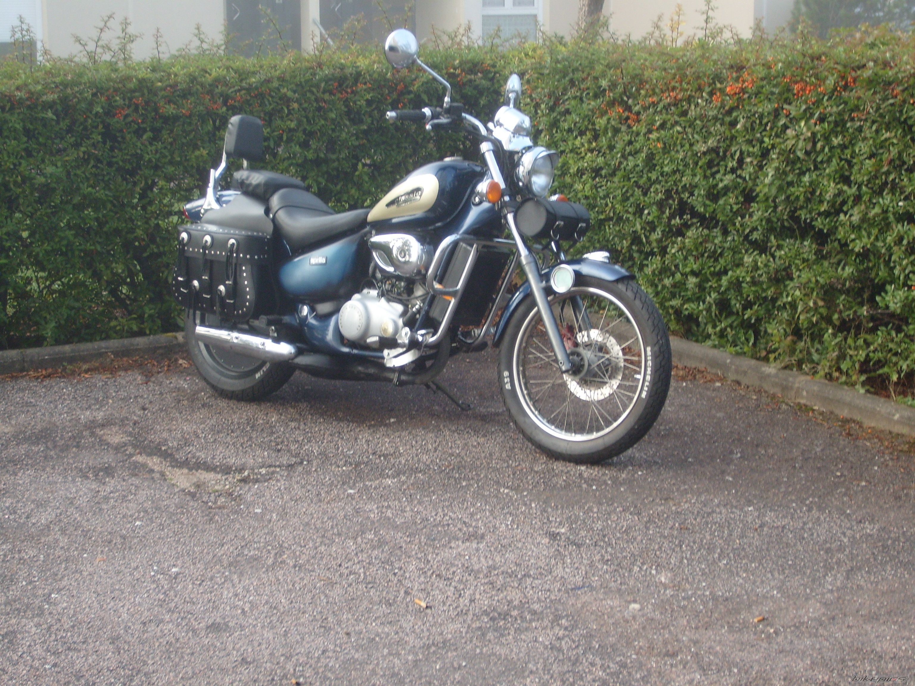 Photo 1460438