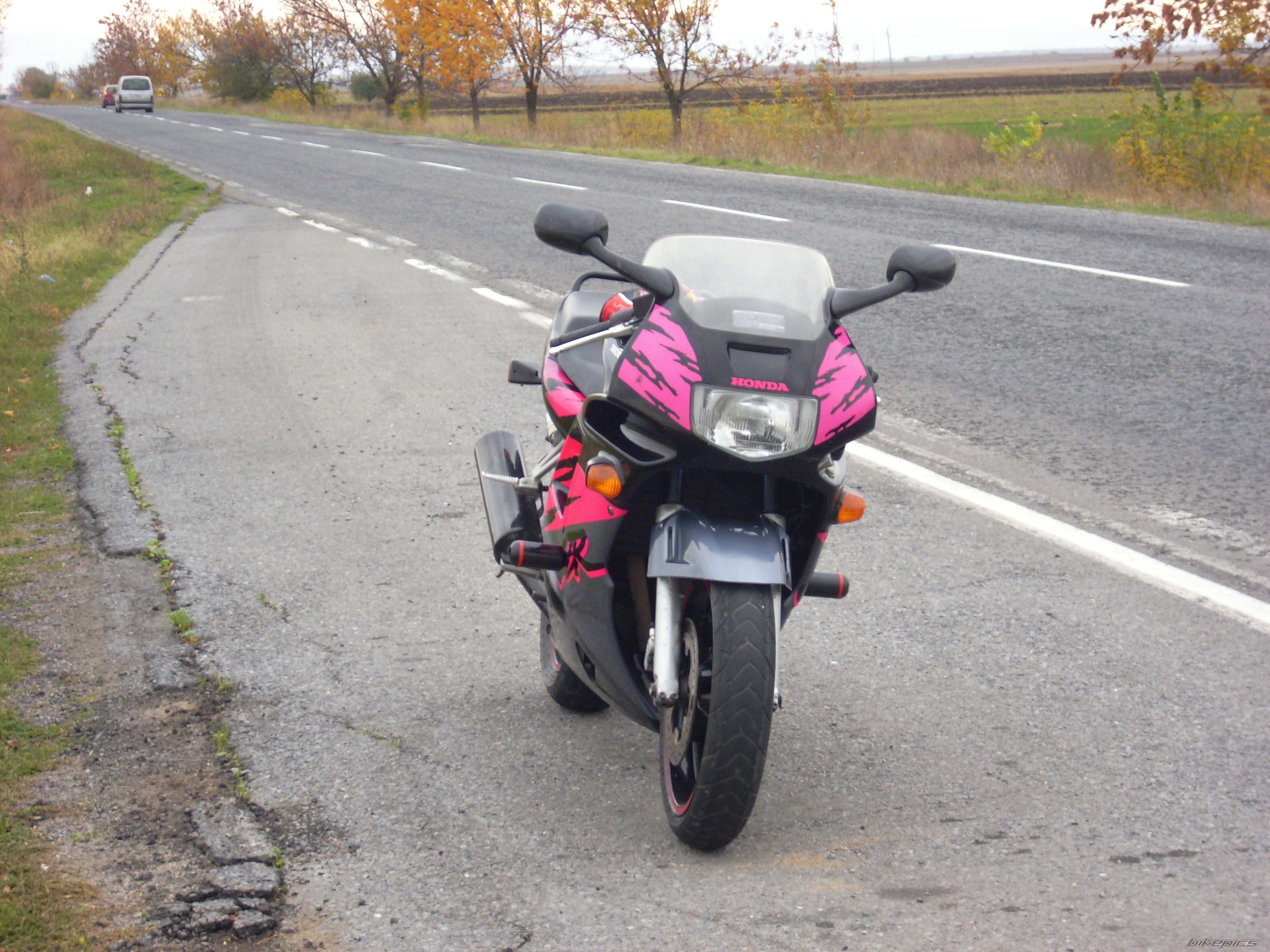 Photo 1462095