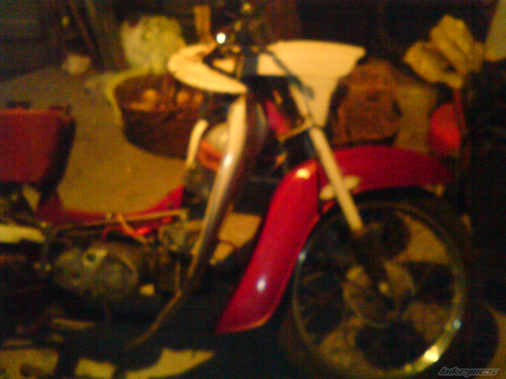 Bike Photo 1462329