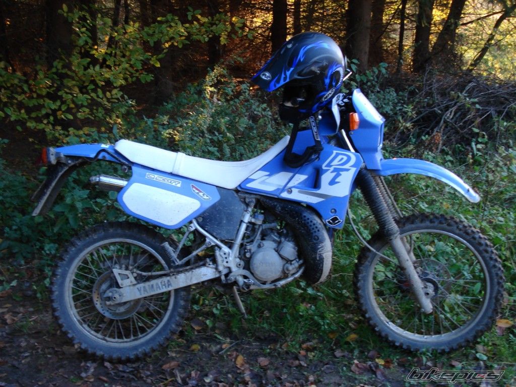 Photo 1462375