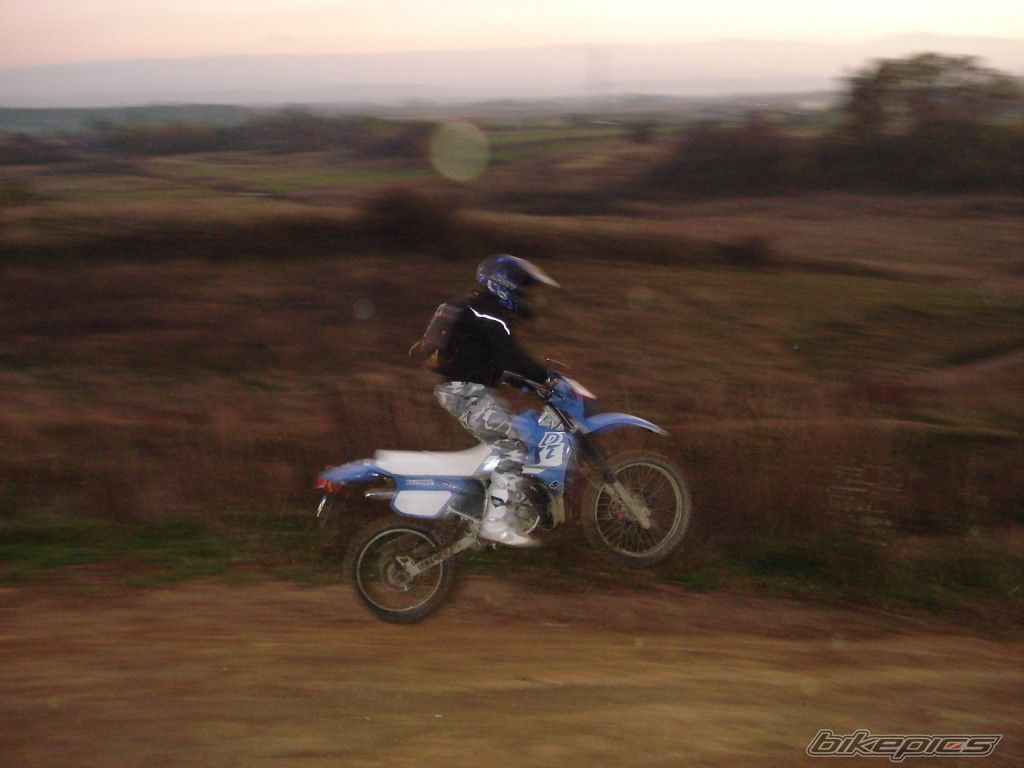 Photo 1462402