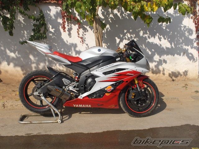 Photo 1462409