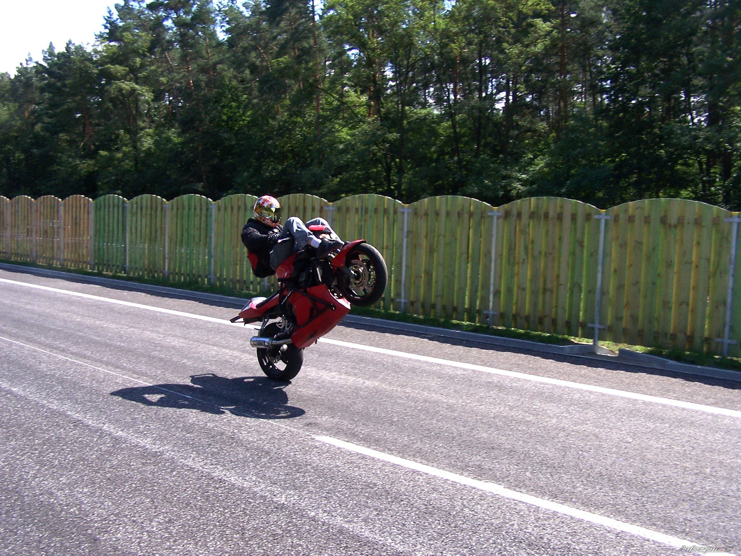 Photo 1463717