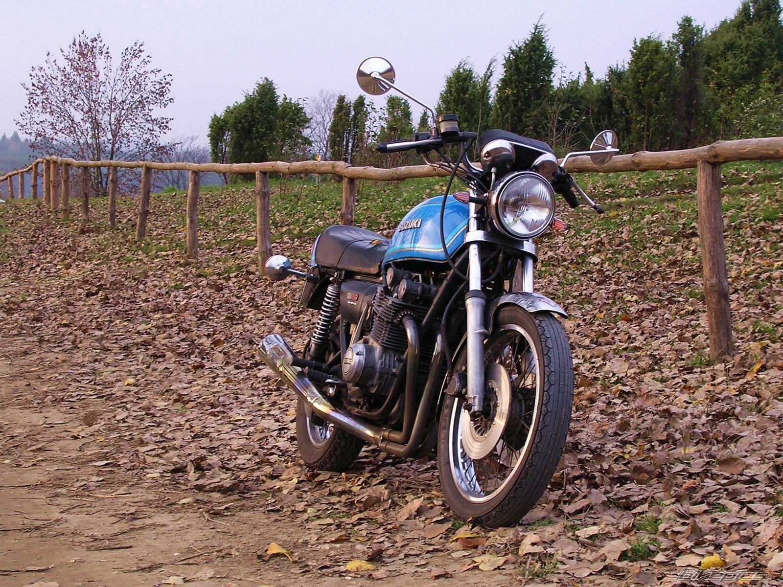 Photo 1463728