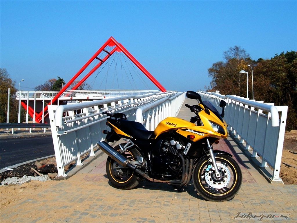 Photo 1464985