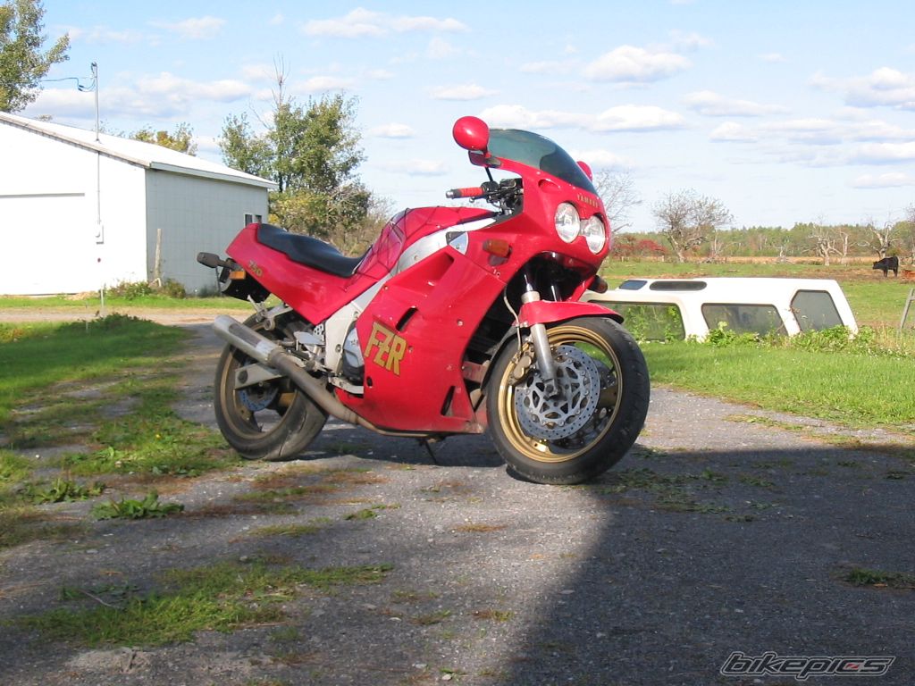 Photo 1466907