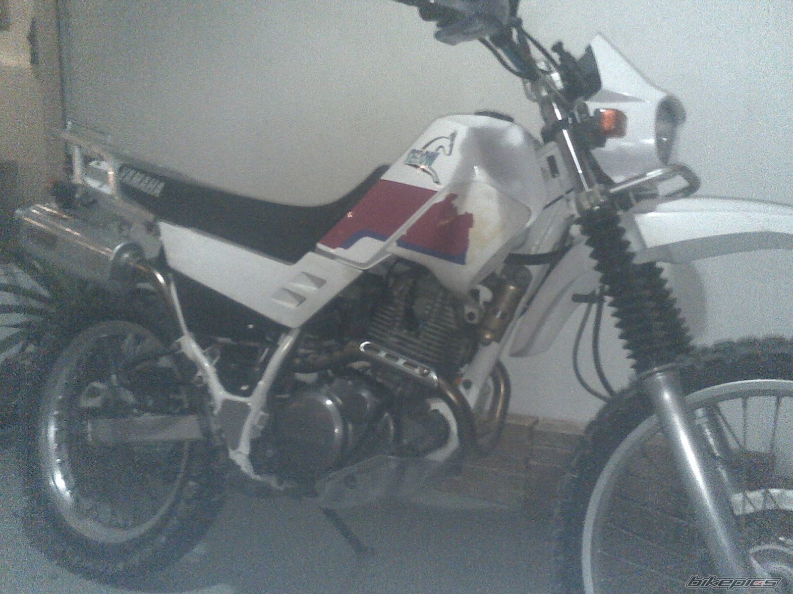 Photo 1468072