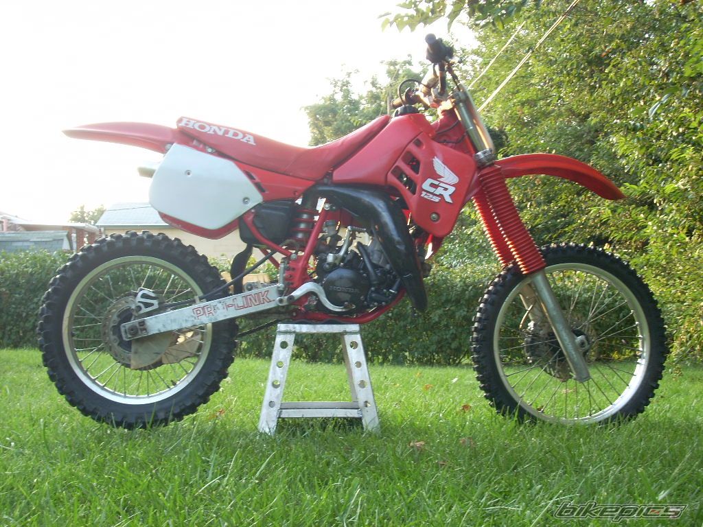 Photo 1468842