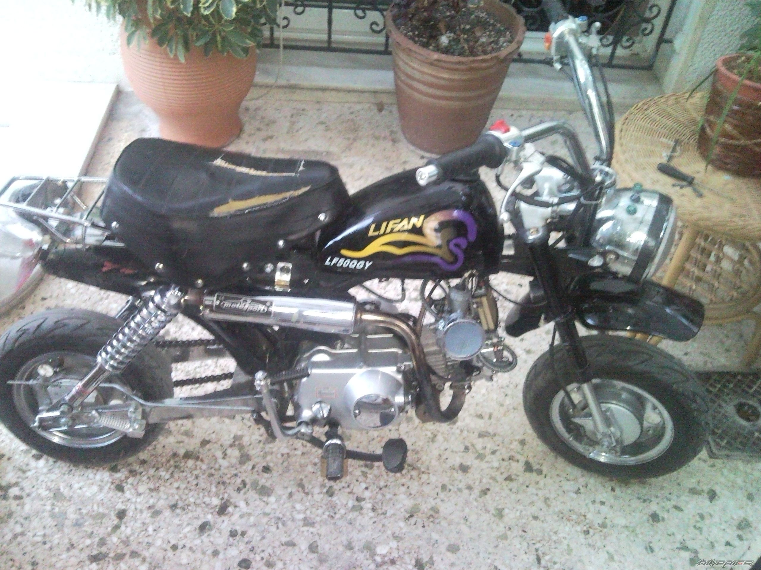 Photo 1469667