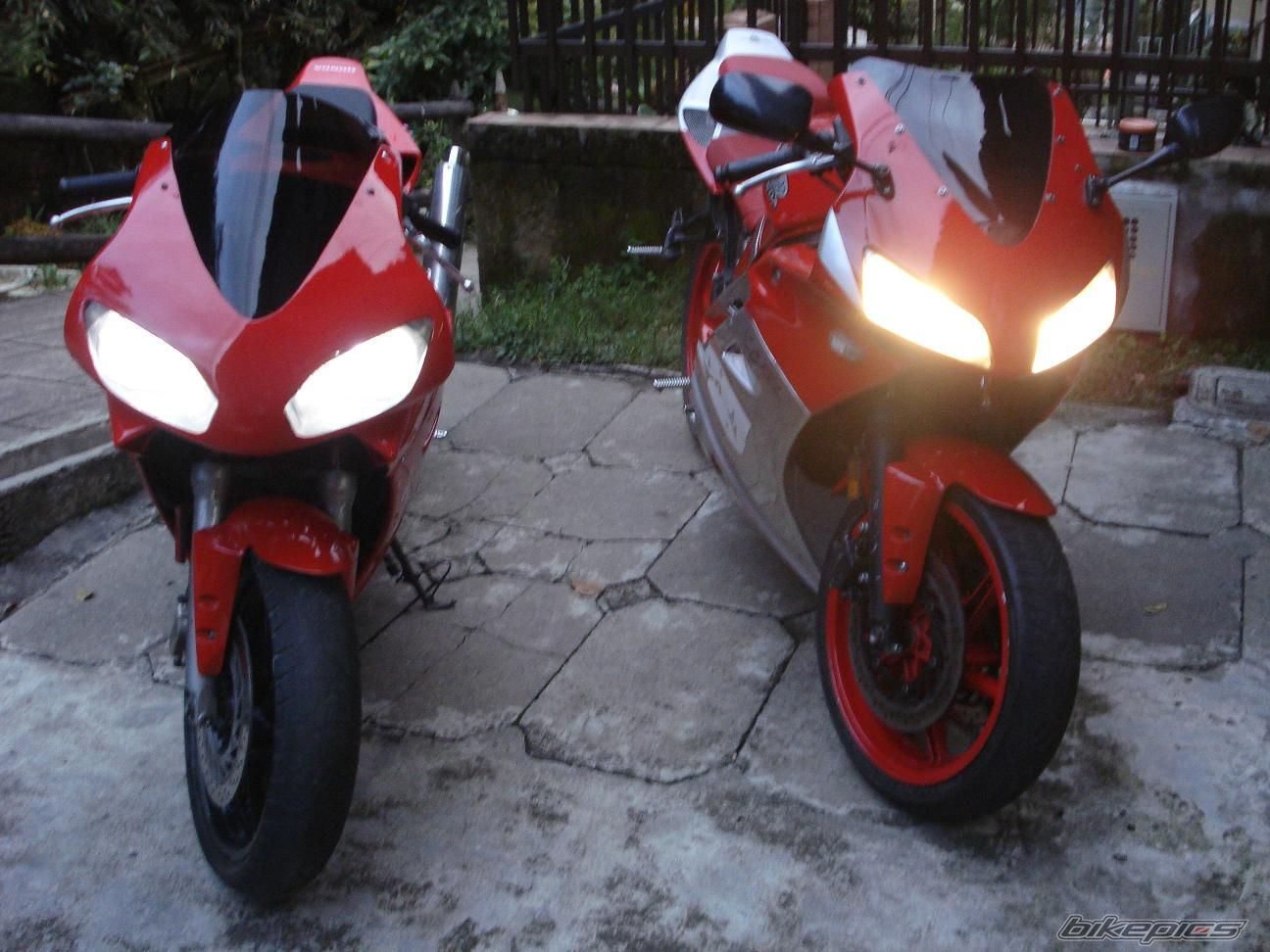 Photo 1473216