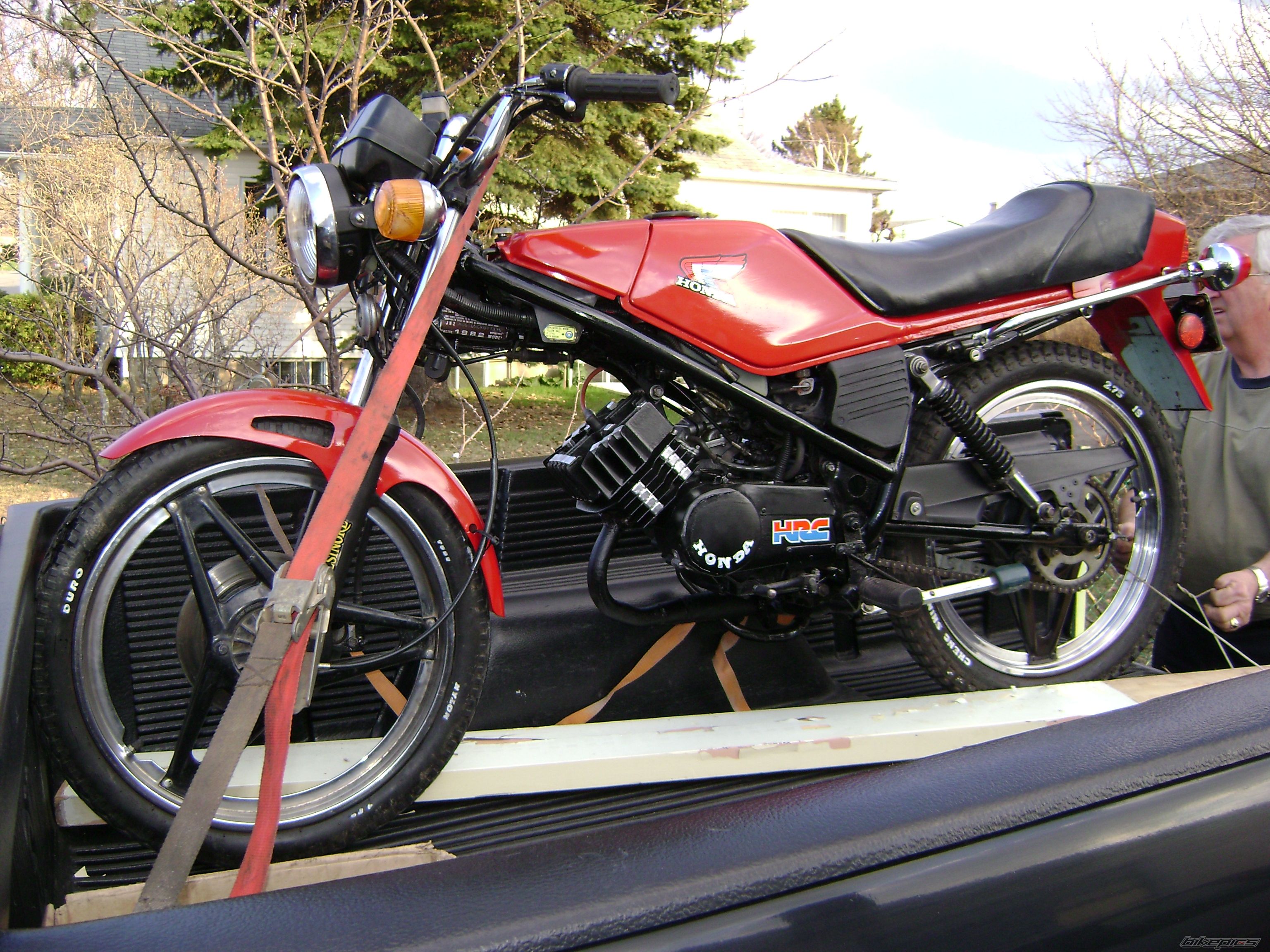 Photo 1473294
