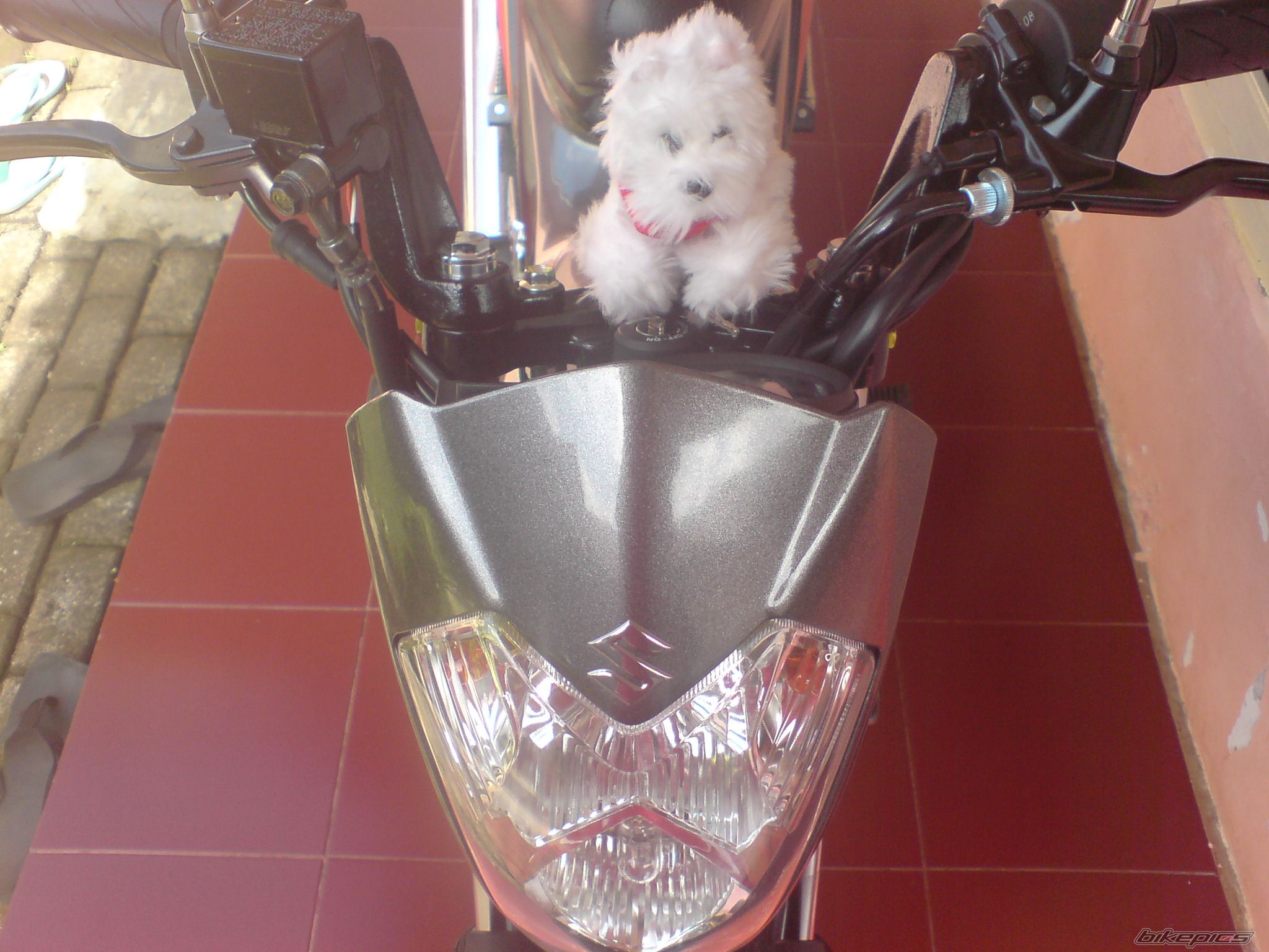 Photo 1474263
