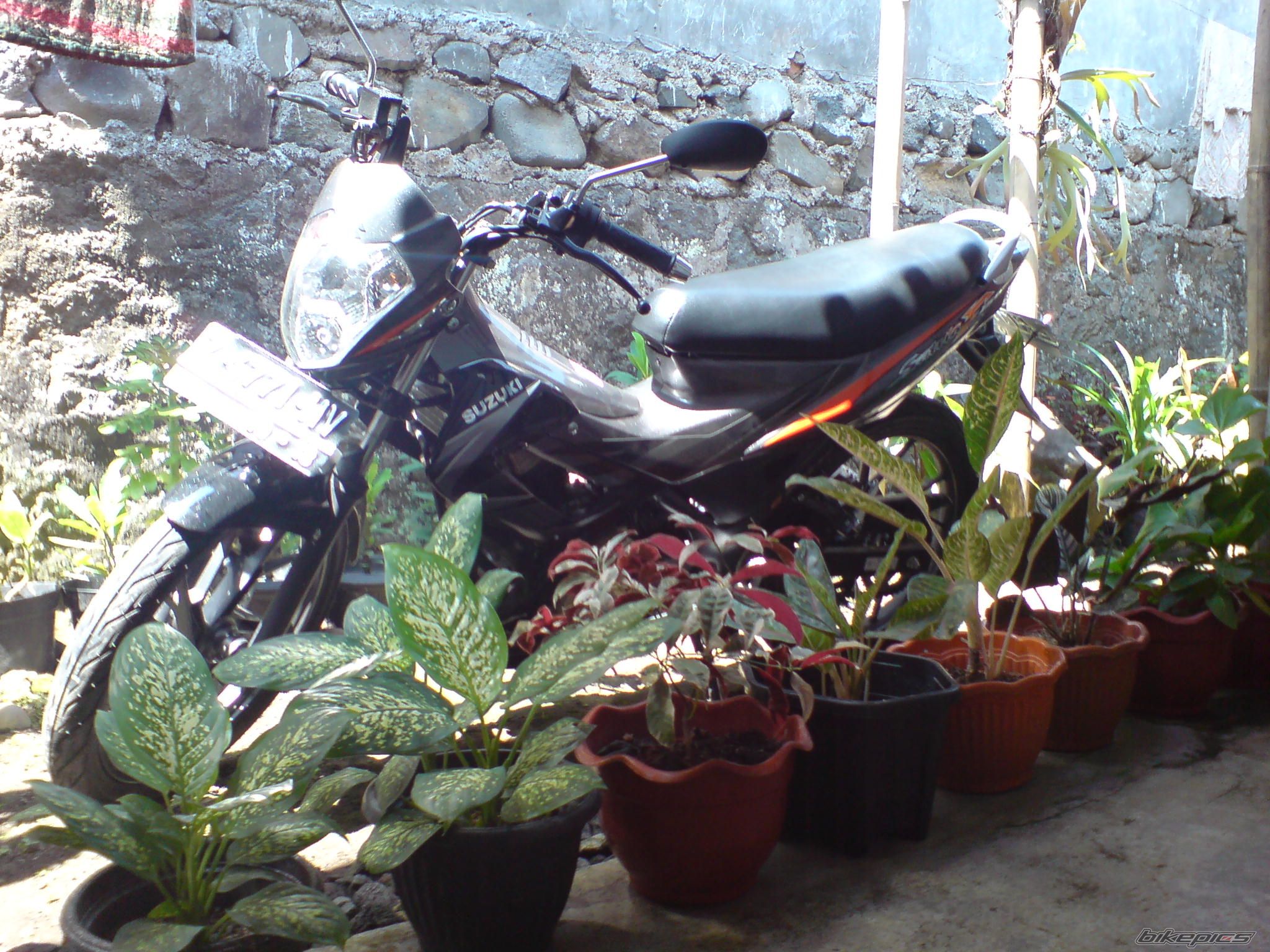 Photo 1474276