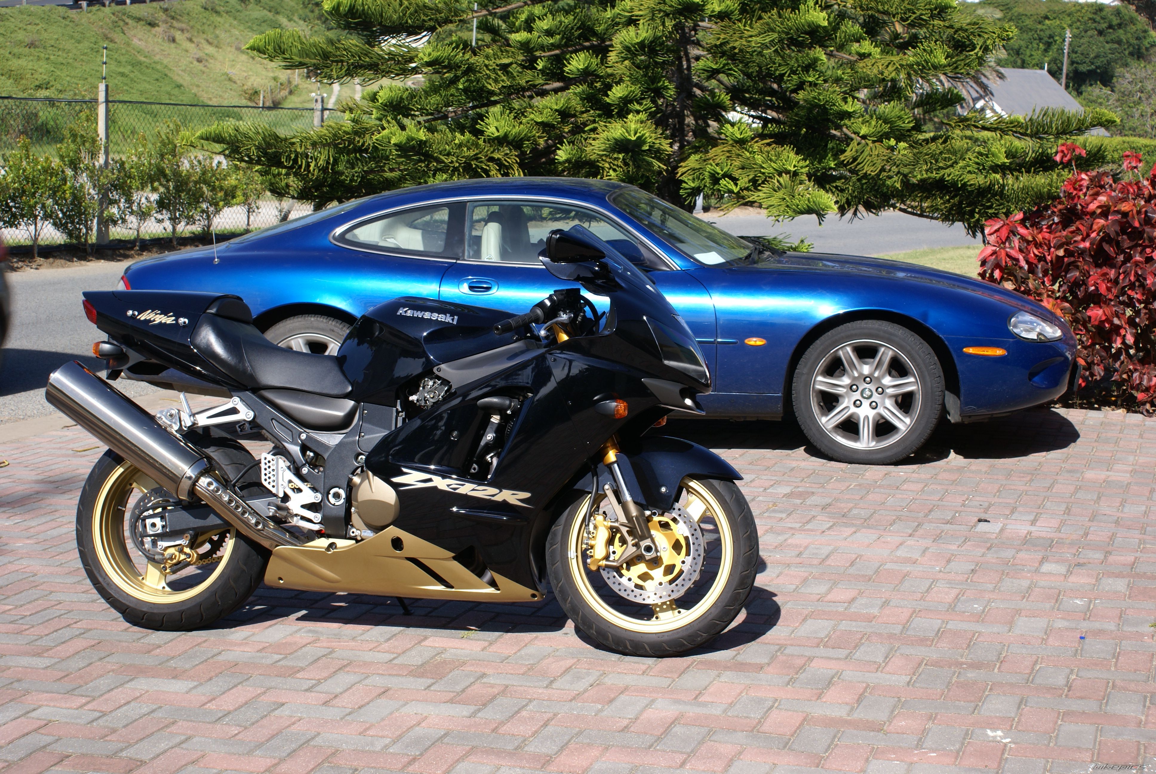 Bike Photo 1476494