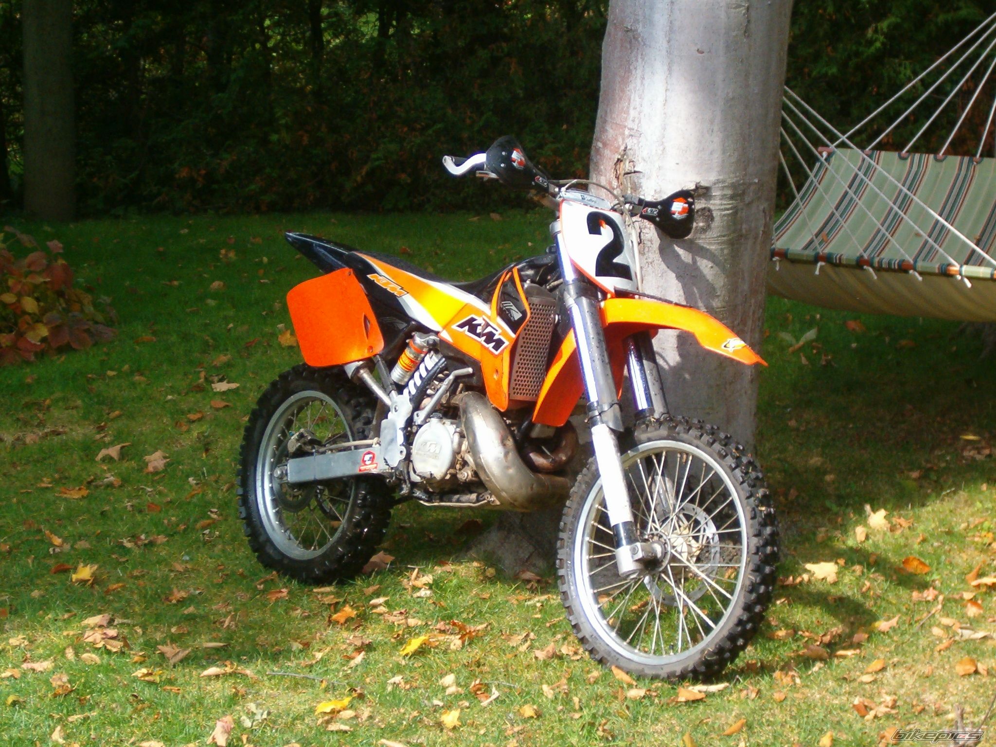 Photo 1478125