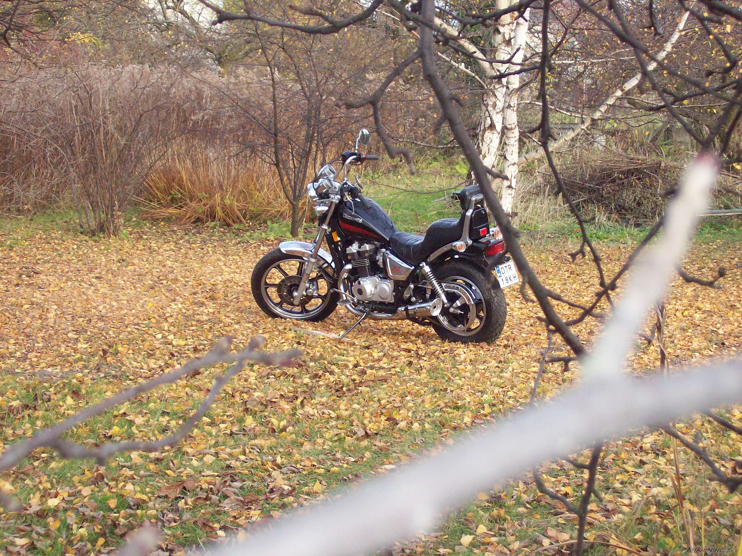 Photo 1478140